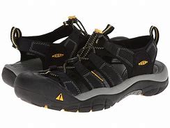 W's Newport H2